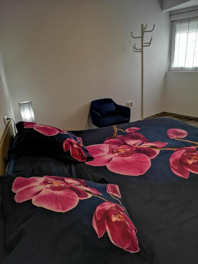 Apartamento Ibanez Benidorm Zewnętrze zdjęcie
